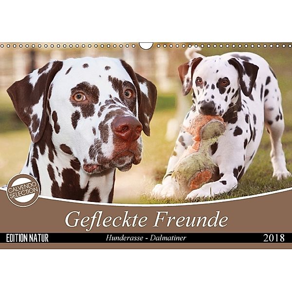 Gefleckte Freunde - Hunderasse Dalmatiner (Wandkalender 2018 DIN A3 quer), Barbara Mielewczyk