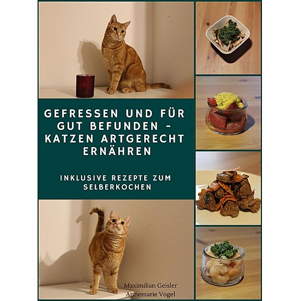 Gefressen und für gut befunden - Katzen artgerecht ernähren, Maximilian Geisler, Annemarie Vogel