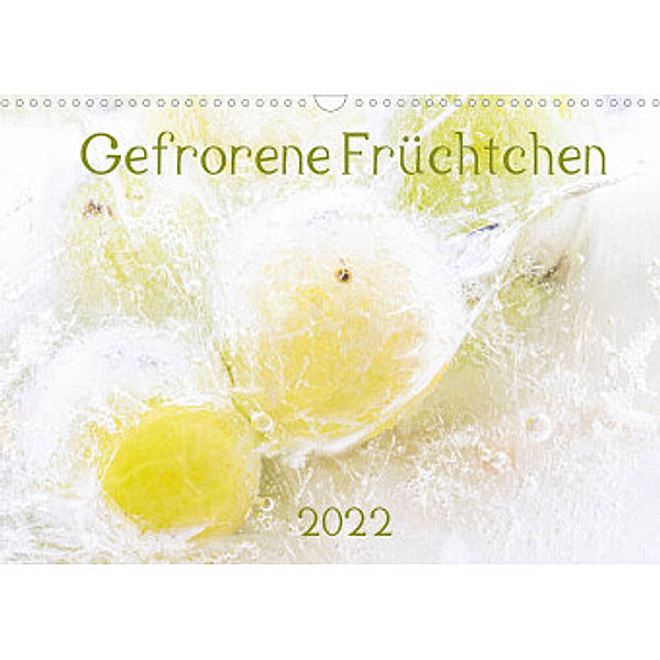 Gefrorene Früchtchen (Wandkalender 2022 DIN A3 quer), Monika Scheurer