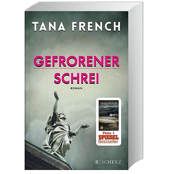 Gefrorener Schrei, Tana French