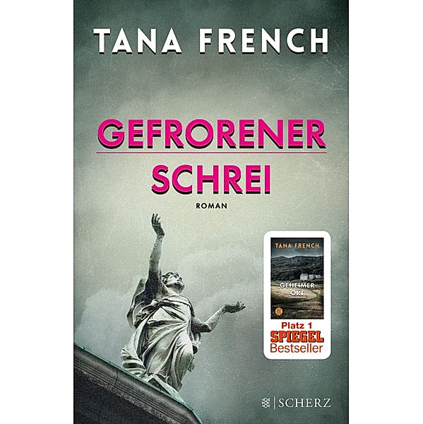 Gefrorener Schrei / Mordkommission Dublin Bd.6, Tana French