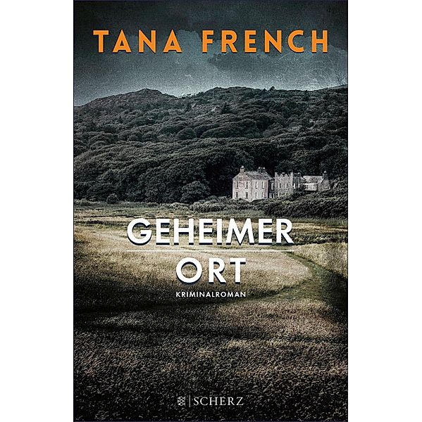 Geheimer Ort / Mordkommission Dublin Bd.5, Tana French