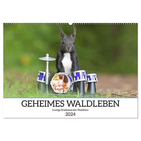 Geheimes Waldleben (Wandkalender 2024 DIN A2 quer), CALVENDO Monatskalender, Sylvia Süss