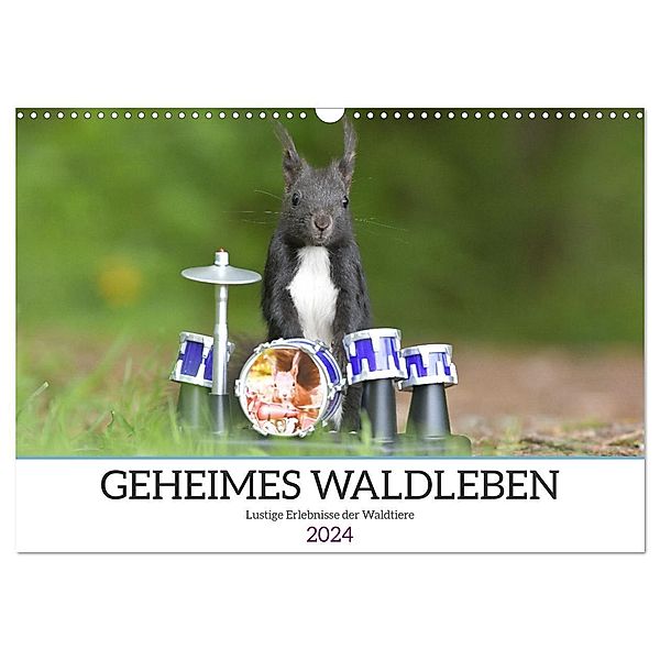 Geheimes Waldleben (Wandkalender 2024 DIN A3 quer), CALVENDO Monatskalender, Sylvia Süss
