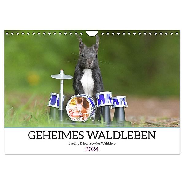Geheimes Waldleben (Wandkalender 2024 DIN A4 quer), CALVENDO Monatskalender, Sylvia Süss