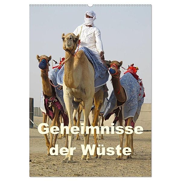 Geheimnisse der Wüste (Wandkalender 2024 DIN A2 hoch), CALVENDO Monatskalender, zwayne/DMR/steckandose.com