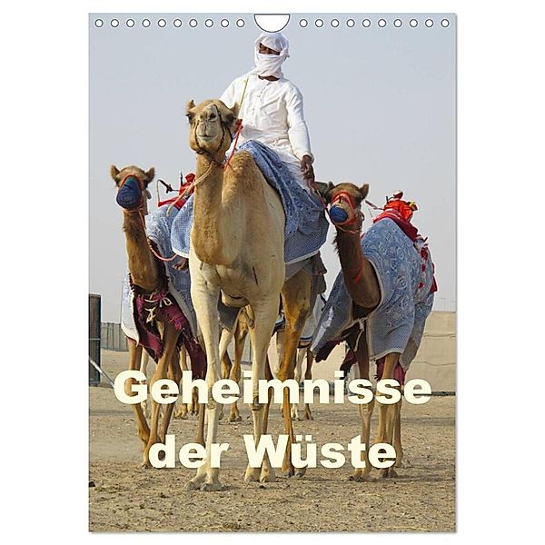 Geheimnisse der Wüste (Wandkalender 2024 DIN A4 hoch), CALVENDO Monatskalender, zwayne/DMR/steckandose.com