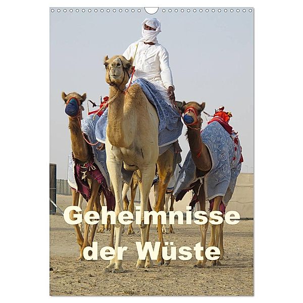 Geheimnisse der Wüste (Wandkalender 2025 DIN A3 hoch), CALVENDO Monatskalender, Calvendo, zwayne/DMR/steckandose.com