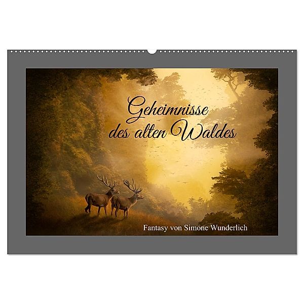 Geheimnisse des alten Waldes (Wandkalender 2024 DIN A2 quer), CALVENDO Monatskalender, Calvendo