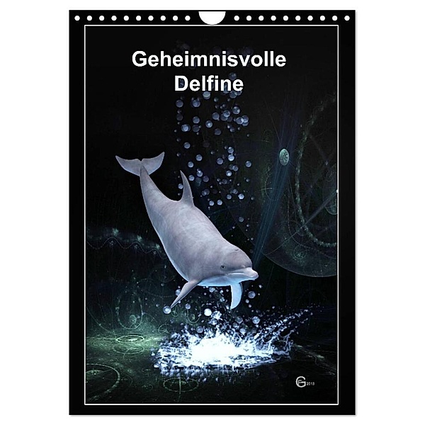 Geheimnisvolle Delfine (Wandkalender 2024 DIN A4 hoch), CALVENDO Monatskalender, Gerhard Franz