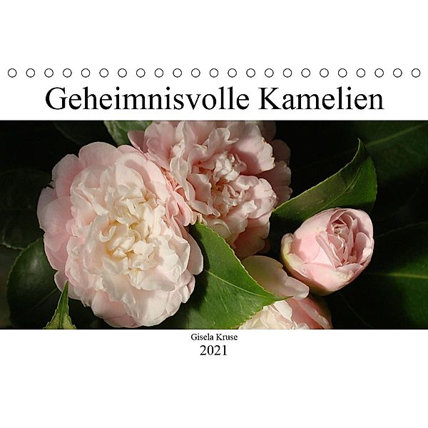 Geheimnisvolle Kamelien (Tischkalender 2021 DIN A5 quer), Gisela Kruse