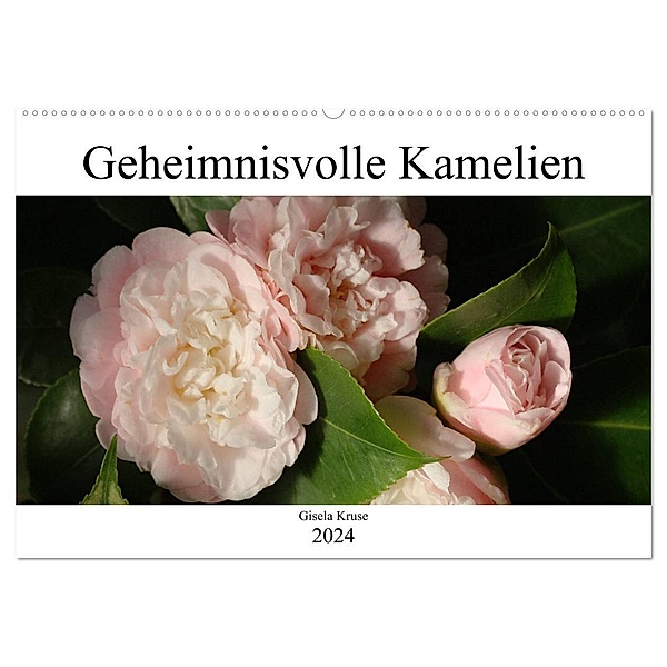 Geheimnisvolle Kamelien (Wandkalender 2024 DIN A2 quer), CALVENDO Monatskalender, Gisela Kruse