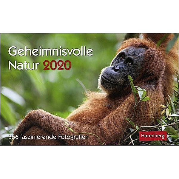 Geheimnisvolle Natur 2021, Jochen Dilling