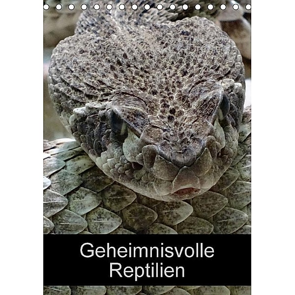 Geheimnisvolle Reptilien (Tischkalender 2017 DIN A5 hoch), Kattobello