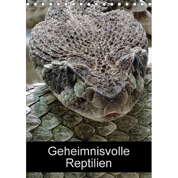 Geheimnisvolle Reptilien (Tischkalender 2018 DIN A5 hoch), Kattobello