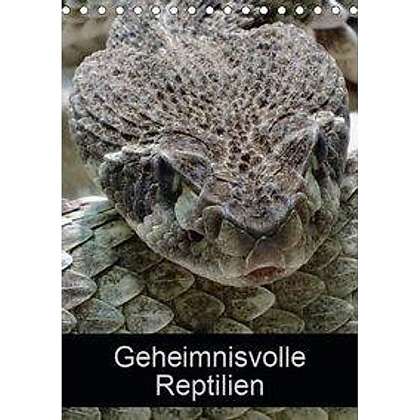 Geheimnisvolle Reptilien (Tischkalender 2019 DIN A5 hoch), kattobello