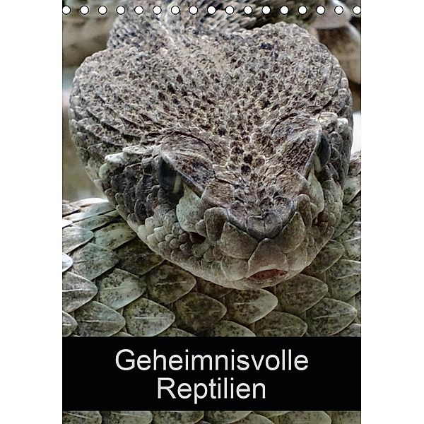 Geheimnisvolle Reptilien (Tischkalender 2021 DIN A5 hoch), Kattobello