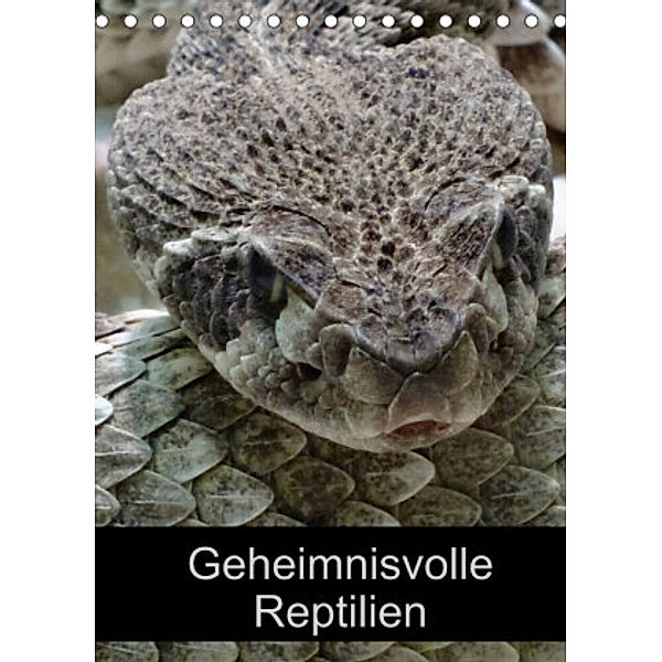 Geheimnisvolle Reptilien (Tischkalender 2022 DIN A5 hoch), Kattobello