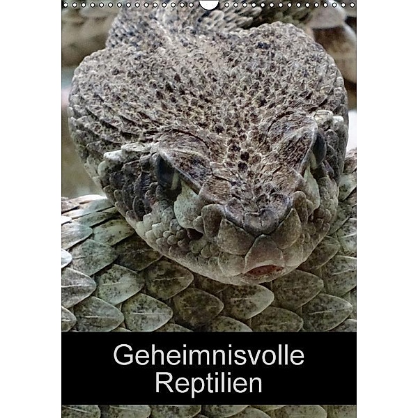 Geheimnisvolle Reptilien (Wandkalender 2017 DIN A3 hoch), Kattobello