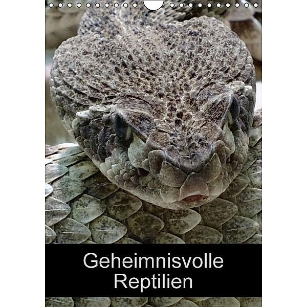 Geheimnisvolle Reptilien (Wandkalender 2017 DIN A4 hoch), Kattobello