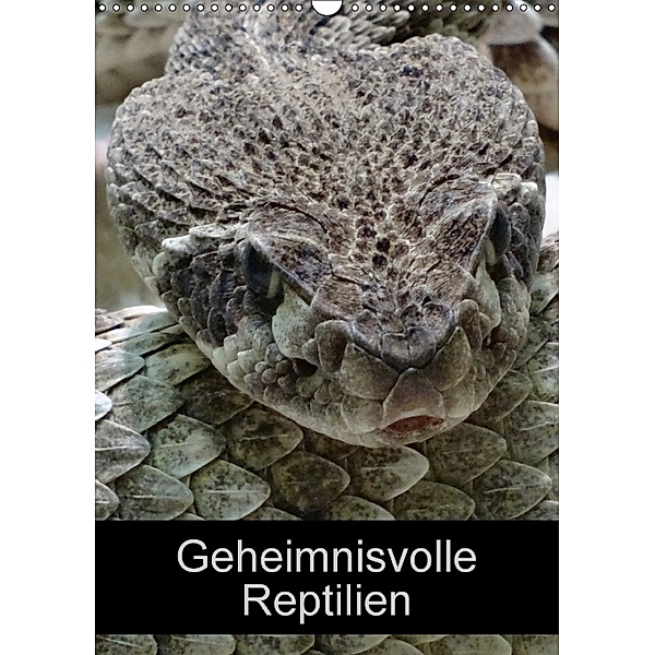 Geheimnisvolle Reptilien (Wandkalender 2018 DIN A3 hoch), Kattobello