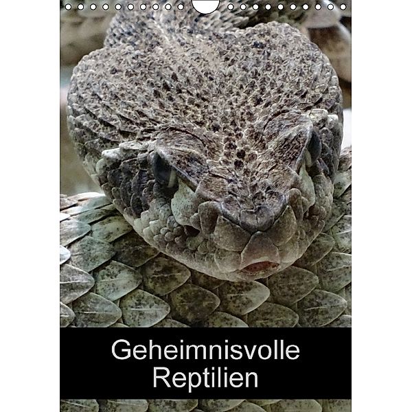 Geheimnisvolle Reptilien (Wandkalender 2018 DIN A4 hoch), Kattobello