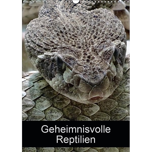 Geheimnisvolle Reptilien (Wandkalender 2020 DIN A3 hoch)