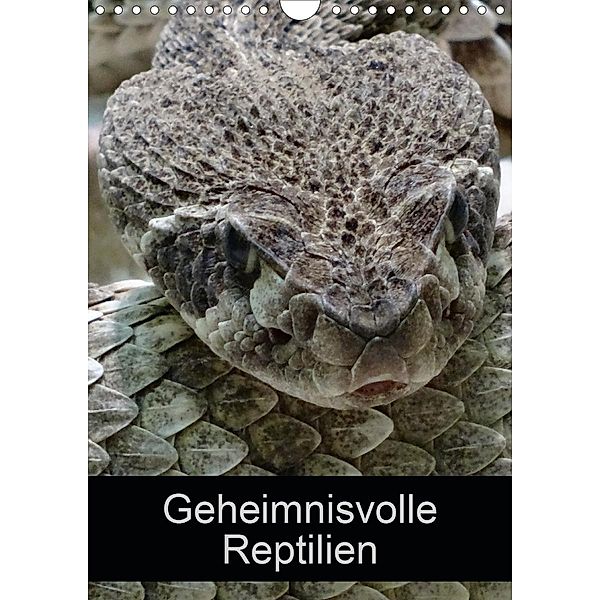 Geheimnisvolle Reptilien (Wandkalender 2020 DIN A4 hoch)