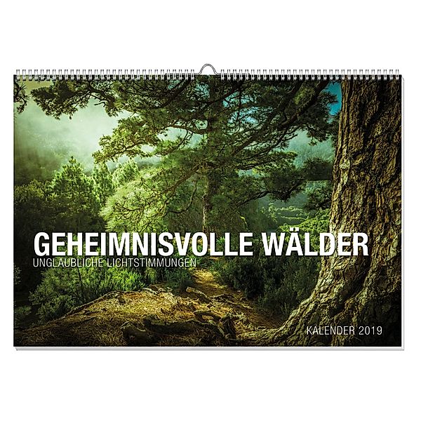 Geheimnisvolle Wälder Premiumkalender 2019