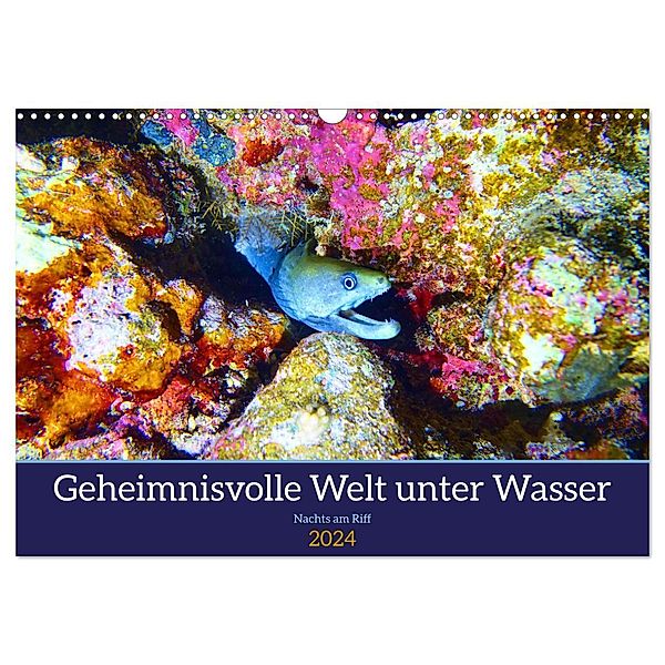 Geheimnisvolle Welt unter Wasser - Nachts am Riff (Wandkalender 2024 DIN A3 quer), CALVENDO Monatskalender, Calvendo, Andrea Heß