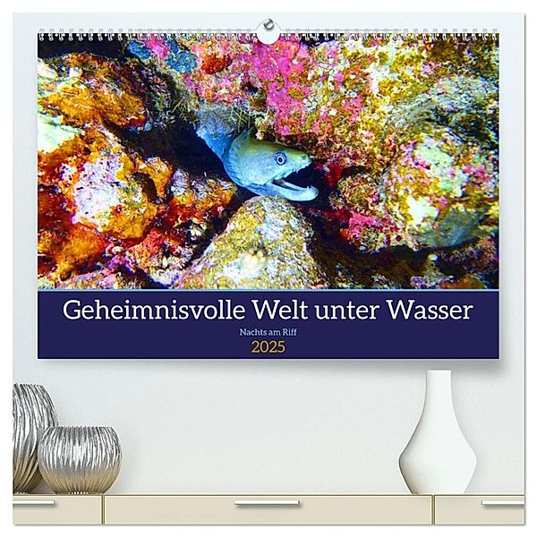 Geheimnisvolle Welt unter Wasser - Nachts am Riff (hochwertiger Premium Wandkalender 2025 DIN A2 quer), Kunstdruck in Hochglanz, Calvendo, Andrea Hess