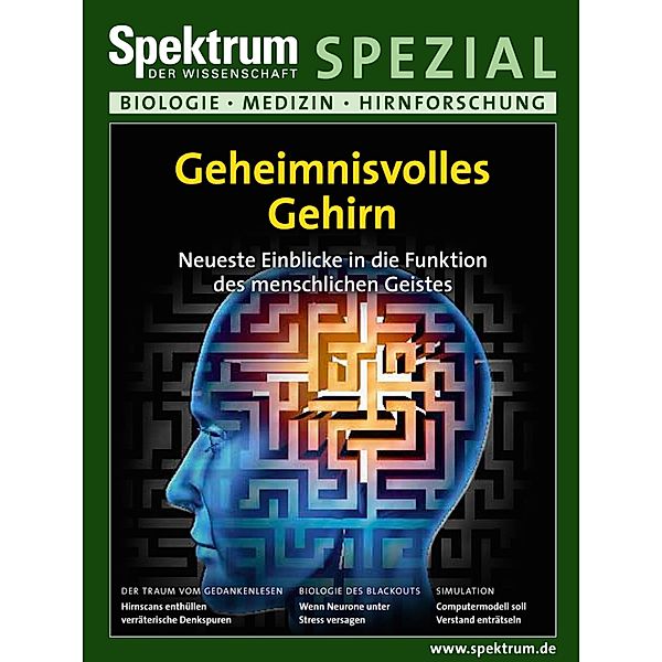 Geheimnisvolles Gehirn / Spektrum Spezial - Biologie, Medizin, Hirnforschung