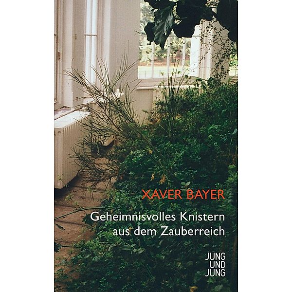 Geheimnisvolles Knistern aus dem Zauberreich, Xaver Bayer