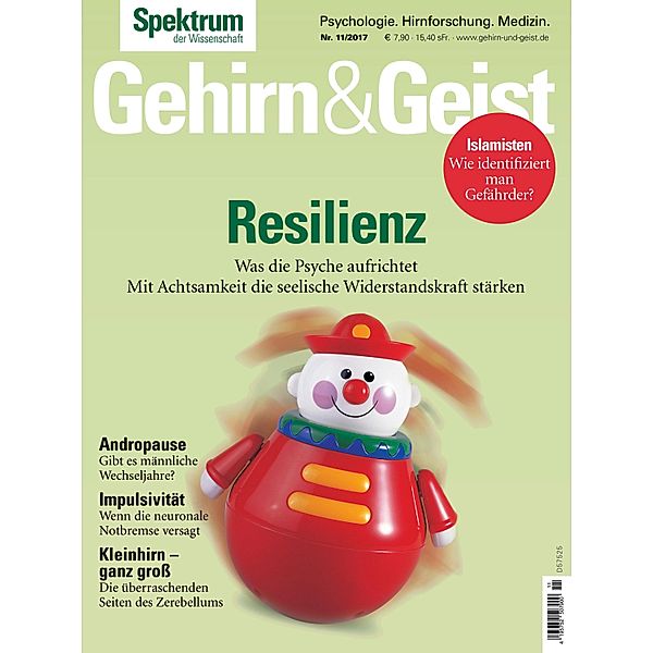 Gehirn&Geist 11/2017 - Resilienz / Gehirn&Geist