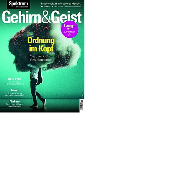 Gehirn&Geist 11/2019 -Ordnung im Kopf / Gehirn&Geist