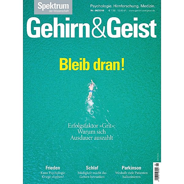 Gehirn&Geist 6/2018 Bleib dran! / Gehirn&Geist