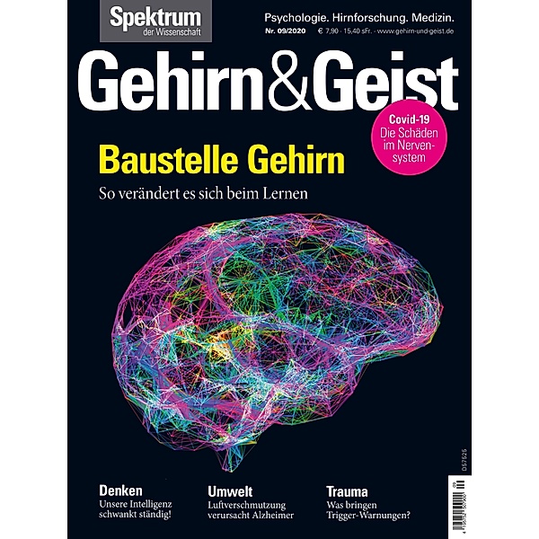 Gehirn&Geist 9/2020 Baustelle Gehirn / Gehirn&Geist