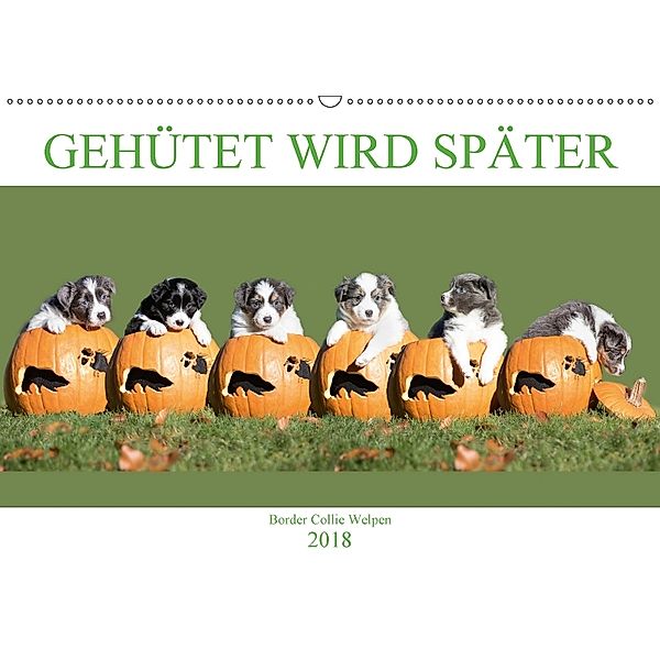 Gehütet wird später - Border Collie Welpen (Wandkalender 2018 DIN A2 quer) Dieser erfolgreiche Kalender wurde dieses Jah, Andrea Mayer, Andrea Mayer Tierfotografie