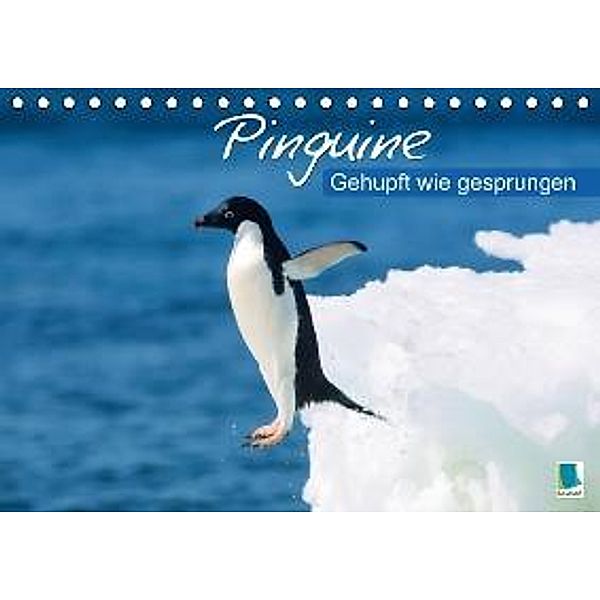 Gehupft wie gesprungen Pinguine (Tischkalender 2015 DIN A5 quer), Calvendo