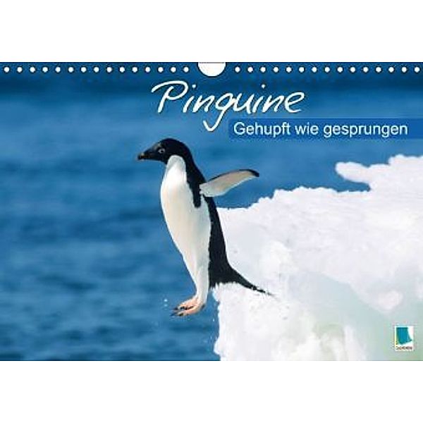 Gehupft wie gesprungen Pinguine (Wandkalender 2015 DIN A4 quer), CALVENDO