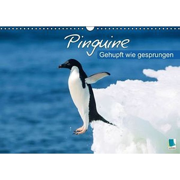 Gehupft wie gesprungen Pinguine (Wandkalender 2015 DIN A3 quer), CALVENDO