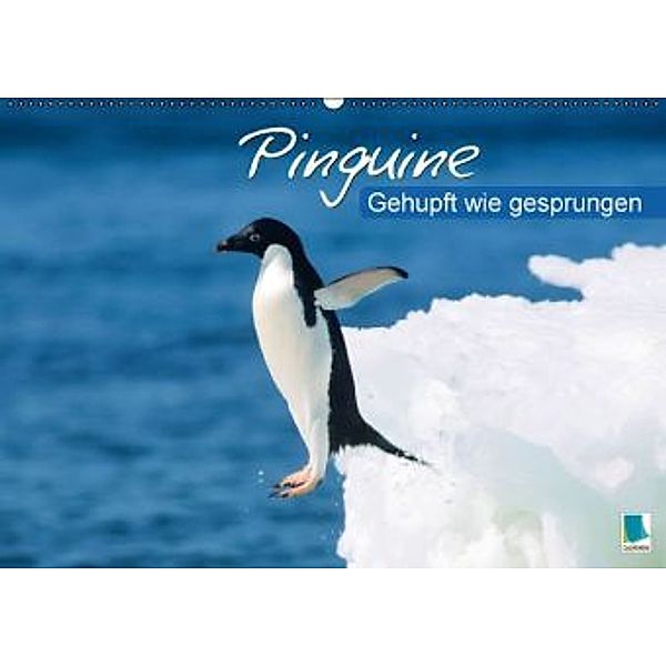 Gehupft wie gesprungen - Pinguine (Wandkalender 2016 DIN A2 quer), Calvendo