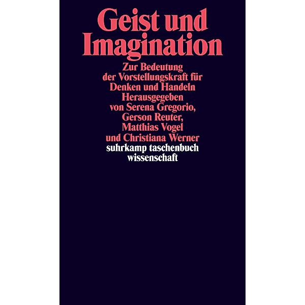 Geist und Imagination / suhrkamp taschenbücher wissenschaft Bd.2437