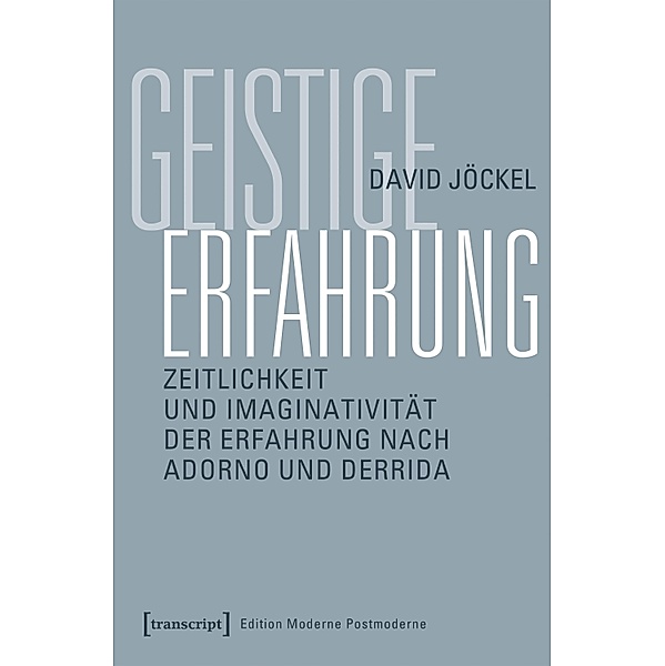 Geistige Erfahrung / Edition Moderne Postmoderne, David Jöckel