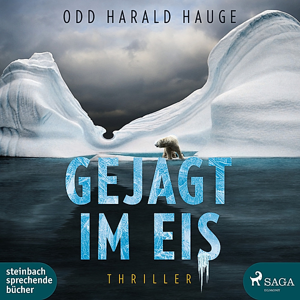 Gejagt im Eis,2 Audio-CD, 2 MP3, Odd Harald Hauge
