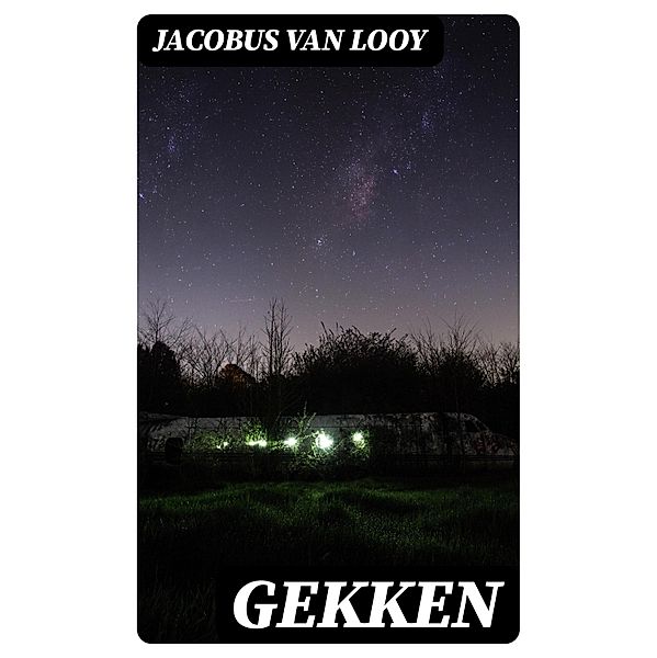 Gekken, Jacobus Van Looy