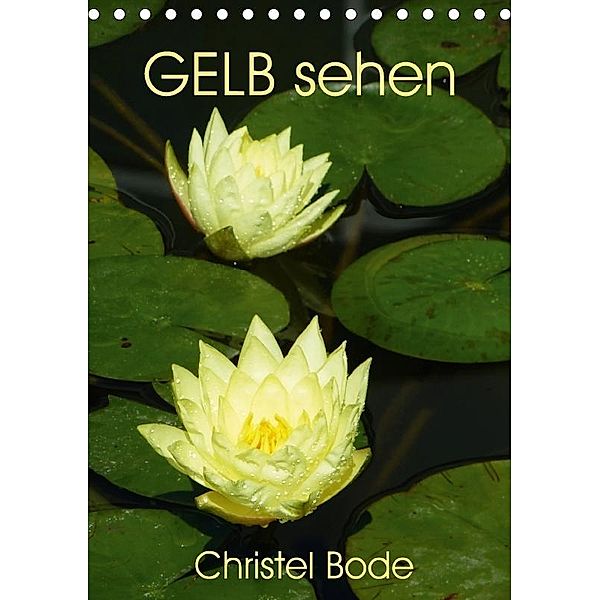 GELB sehen (Tischkalender 2017 DIN A5 hoch), Christel Bode