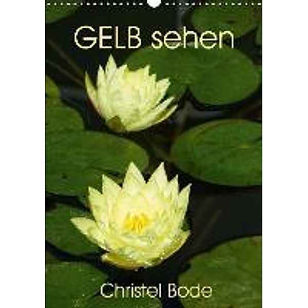 GELB sehen (Wandkalender 2016 DIN A3 hoch), Christel Bode