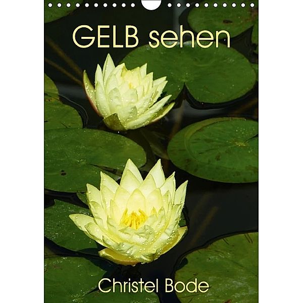 GELB sehen (Wandkalender 2017 DIN A4 hoch), Christel Bode