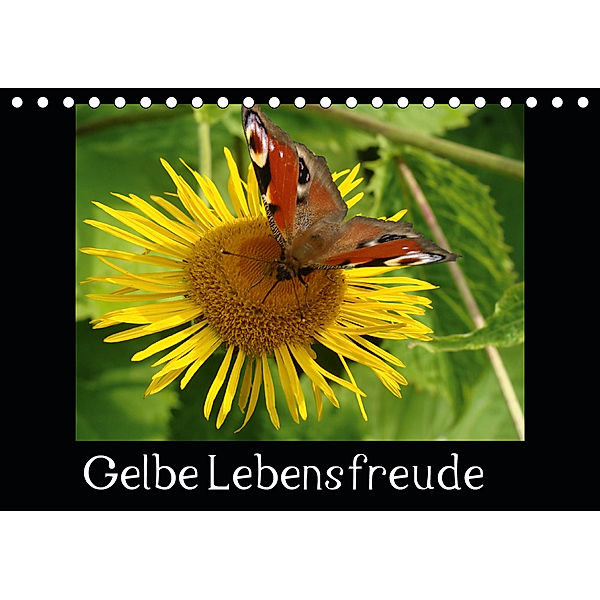 Gelbe Lebensfreude (Tischkalender 2020 DIN A5 quer), Sven Herkenrath